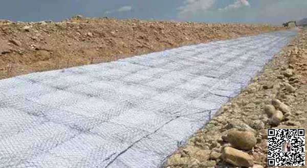 雙隔板雷諾護墊 雙隔板雷諾護墊